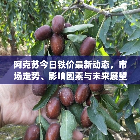 阿克苏今日铁价最新动态，市场走势、影响因素与未来展望全解析