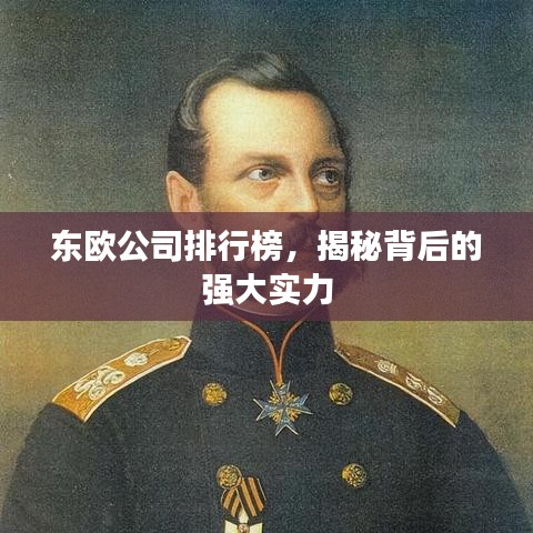 东欧公司排行榜，揭秘背后的强大实力
