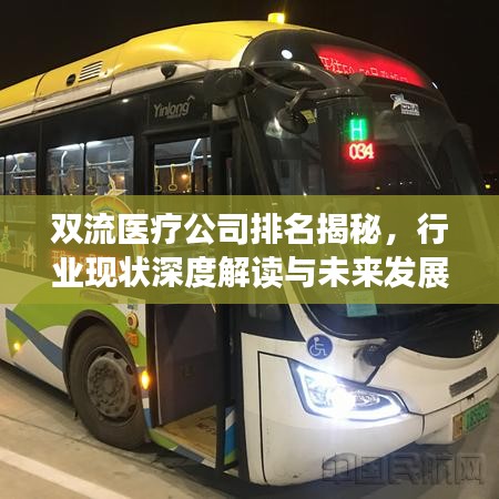 双流医疗公司排名揭秘，行业现状深度解读与未来发展展望
