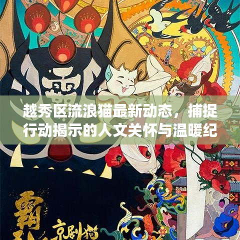 越秀区流浪猫最新动态，捕捉行动揭示的人文关怀与温暖纪事