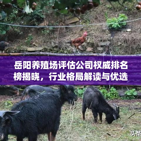 岳阳养殖场评估公司权威排名榜揭晓，行业格局解读与优选指南