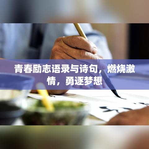 望其项背 第3页