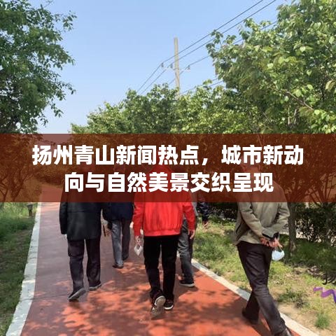 扬州青山新闻热点，城市新动向与自然美景交织呈现