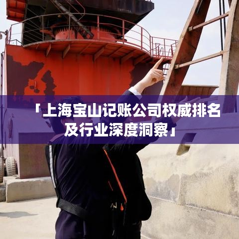 「上海宝山记账公司权威排名及行业深度洞察」
