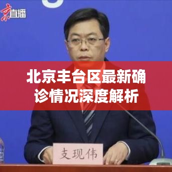 北京丰台区最新确诊情况深度解析