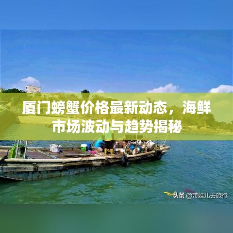 厦门螃蟹价格最新动态，海鲜市场波动与趋势揭秘