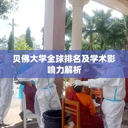 贝佛大学全球排名及学术影响力解析