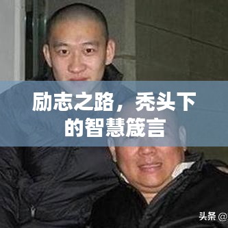 励志之路，秃头下的智慧箴言
