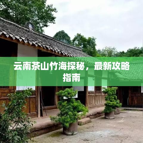 云南茶山竹海探秘，最新攻略指南