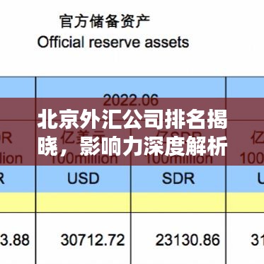 北京外汇公司排名揭晓，影响力深度解析