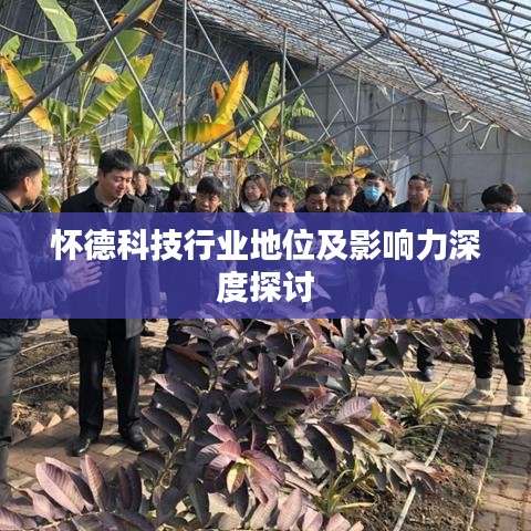 怀德科技行业地位及影响力深度探讨