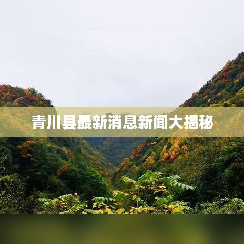 青川县最新消息新闻大揭秘