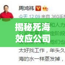 揭秘死海效应公司背后的神秘排名故事