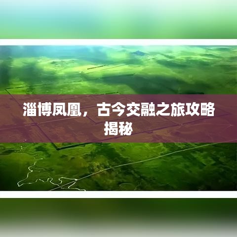 翰飞戾天 第3页