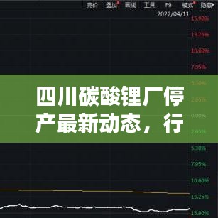 四川碳酸锂厂停产最新动态，行业焦点深度解析