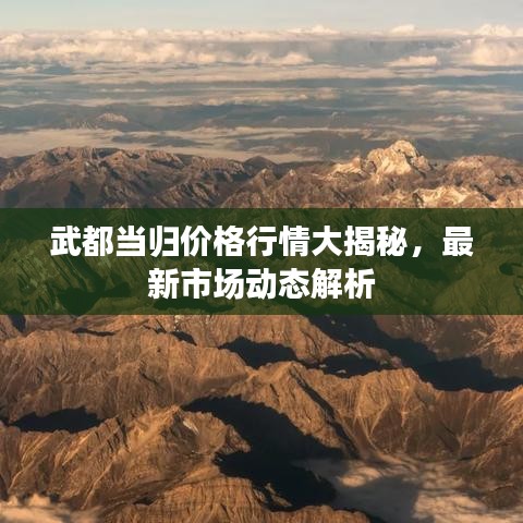 武都当归价格行情大揭秘，最新市场动态解析