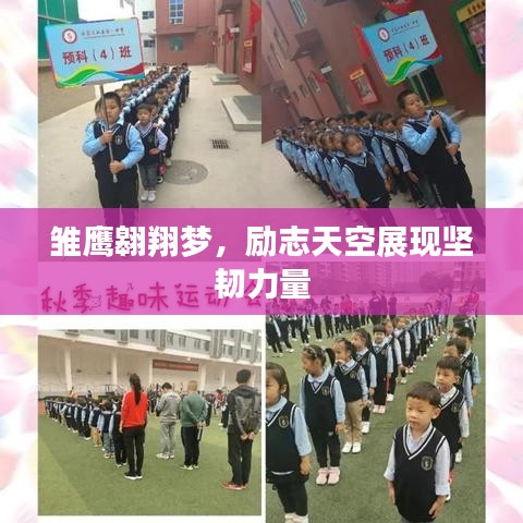 雏鹰翱翔梦，励志天空展现坚韧力量