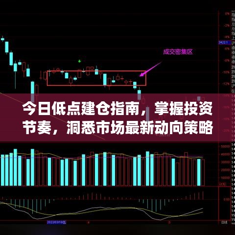 今日低点建仓指南，掌握投资节奏，洞悉市场最新动向策略