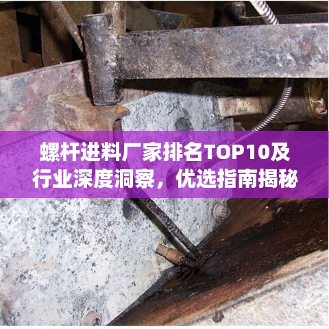螺杆进料厂家排名TOP10及行业深度洞察，优选指南揭秘！