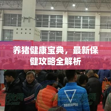 养猪健康宝典，最新保健攻略全解析