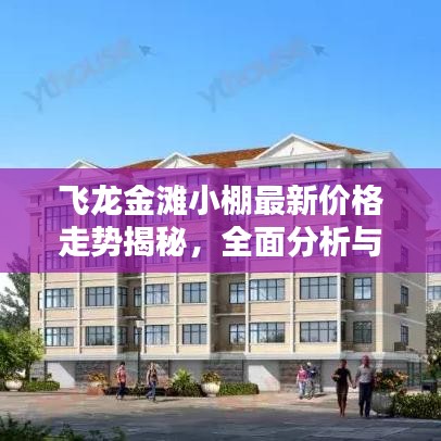 飞龙金滩小棚最新价格走势揭秘，全面分析与查询