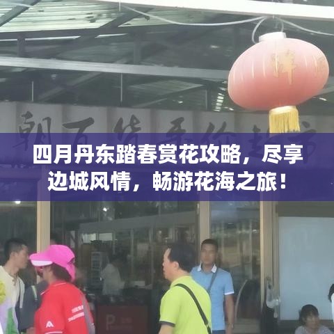 四月丹东踏春赏花攻略，尽享边城风情，畅游花海之旅！