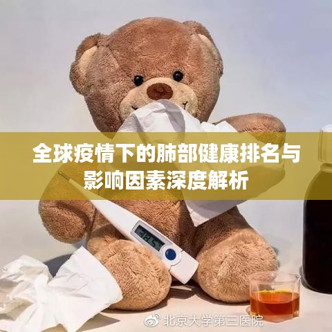 全球疫情下的肺部健康排名与影响因素深度解析