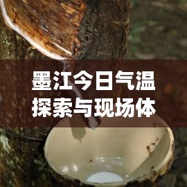墨江今日气温探索与现场体验