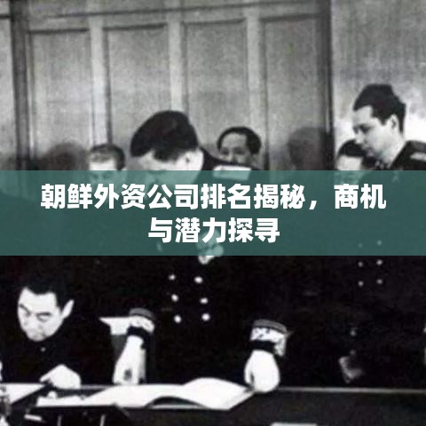 朝鲜外资公司排名揭秘，商机与潜力探寻