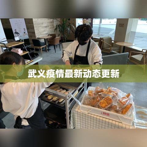 武义疫情最新动态更新