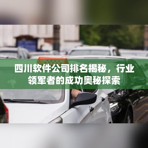 四川软件公司排名揭秘，行业领军者的成功奥秘探索