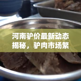 河南驴价最新动态揭秘，驴肉市场繁荣背后的变迁与趋势