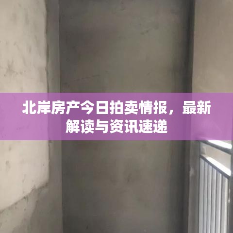 北岸房产今日拍卖情报，最新解读与资讯速递