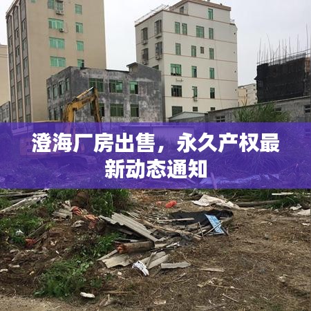 澄海厂房出售，永久产权最新动态通知