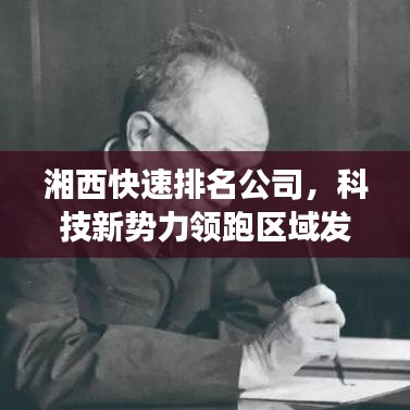 湘西快速排名公司，科技新势力领跑区域发展
