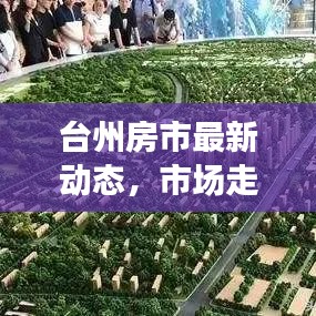 台州房市最新动态，市场走势分析暨购房指南