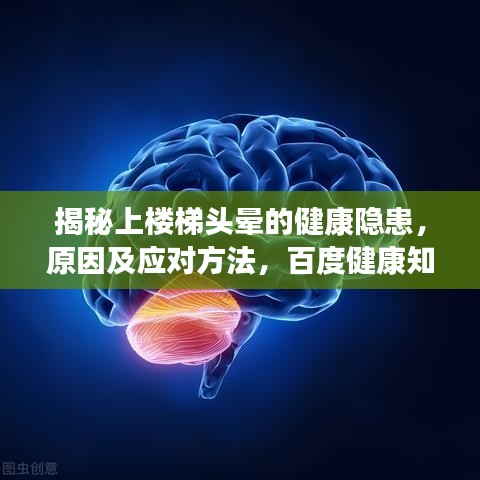 虫蚀鸟步 第3页