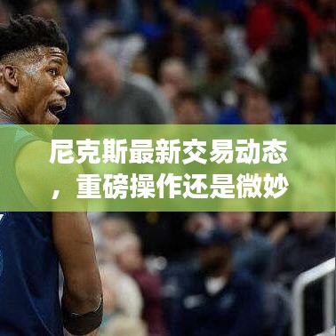尼克斯最新交易动态，重磅操作还是微妙调整？今日消息全解析