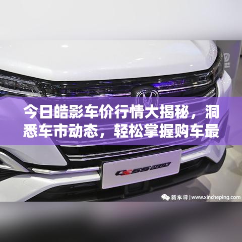 今日皓影车价行情大揭秘，洞悉车市动态，轻松掌握购车最佳时机