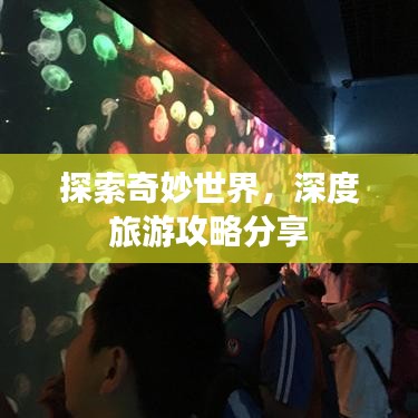 探索奇妙世界，深度旅游攻略分享