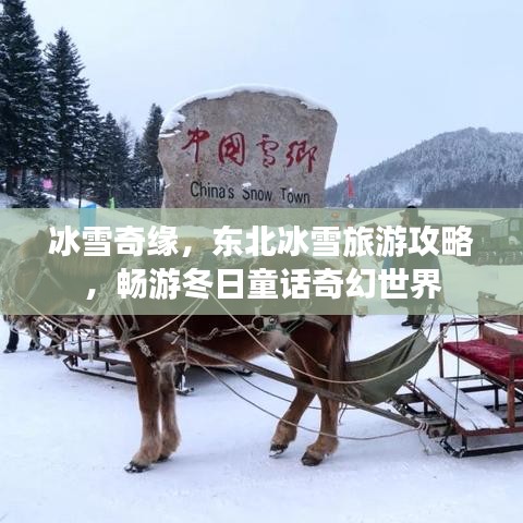 口若悬河 第3页