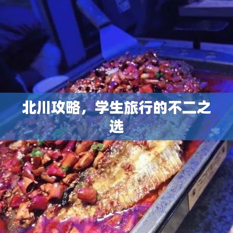 北川攻略，学生旅行的不二之选