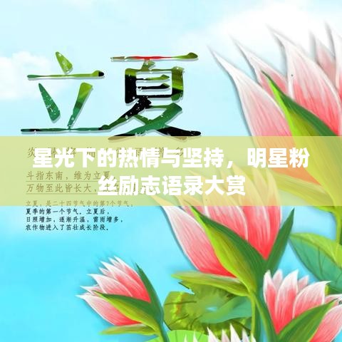 星光下的热情与坚持，明星粉丝励志语录大赏