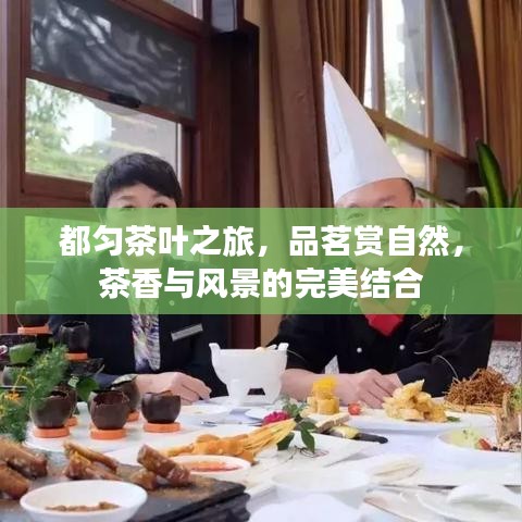 竭尽全力 第2页