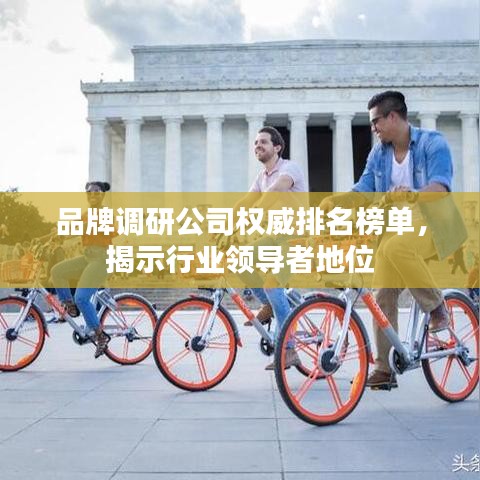 品牌调研公司权威排名榜单，揭示行业领导者地位
