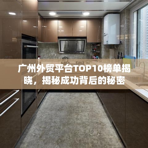 广州外贸平台TOP10榜单揭晓，揭秘成功背后的秘密