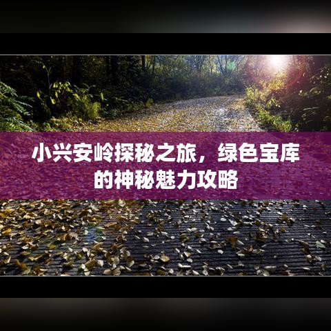 小兴安岭探秘之旅，绿色宝库的神秘魅力攻略