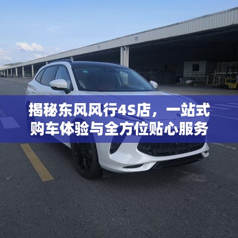 揭秘东风风行4S店，一站式购车体验与全方位贴心服务
