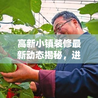 高新小镇装修最新动态揭秘，进度更新、完工情况及最新消息一网打尽！