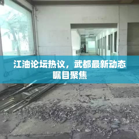 江油论坛热议，武都最新动态瞩目聚焦